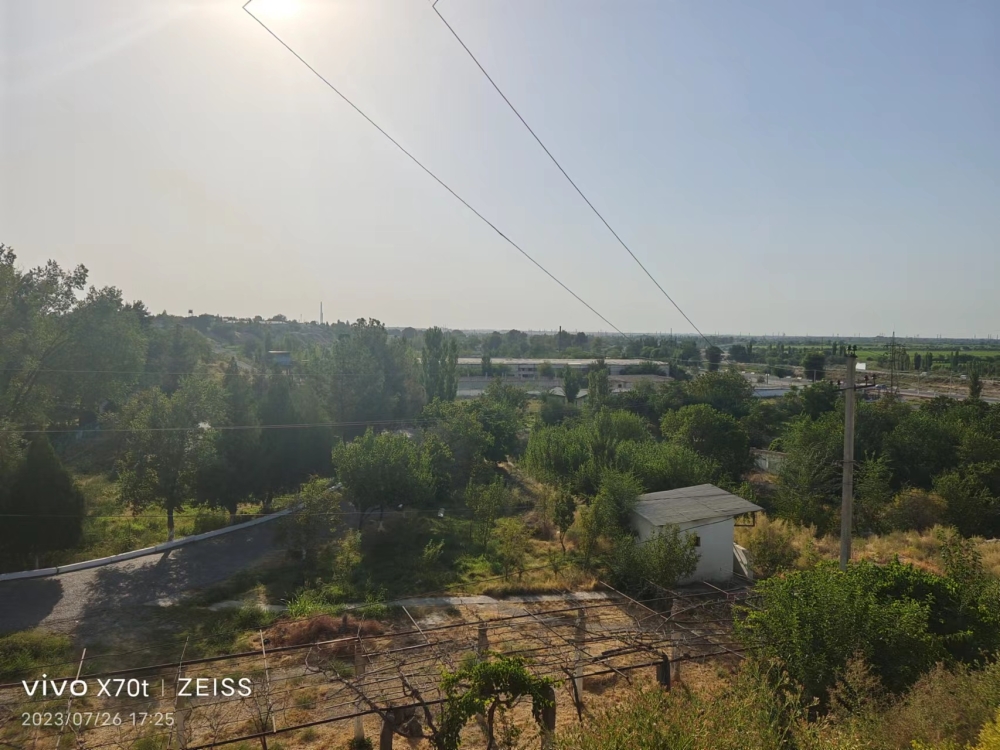 726盐碱治理工厂用地勘查现场照片 (2) 726盐碱治理工厂用地勘查现场照片 (2)