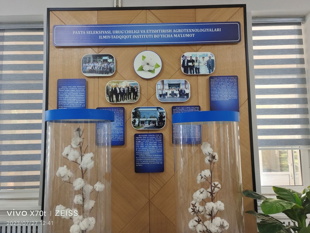 727盐碱地开发种植棉花、水稻、小麦实验的会议 (2) 727盐碱地开发种植棉花、水稻、小麦实验的会议 (2)