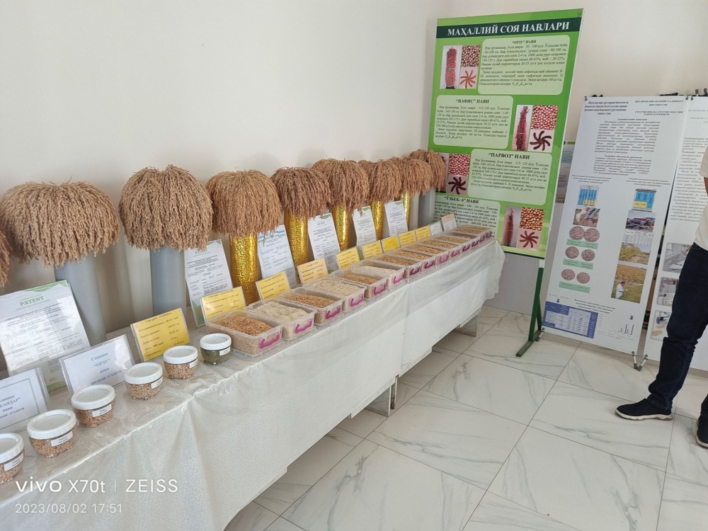 802盐碱地水稻种植及育种栽培服务的洽谈会议 (3) 802盐碱地水稻种植及育种栽培服务的洽谈会议 (3)