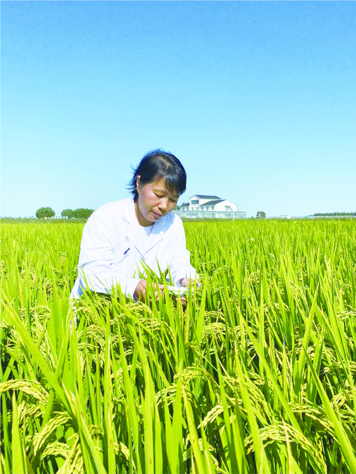 1310747951_16986527618451n 1310747951_16986527618451n