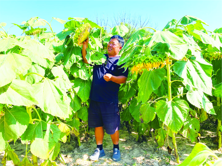 1310747951_16986528515971n 1310747951_16986528515971n