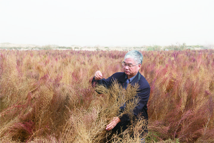 1310747951_16986529428181n 1310747951_16986529428181n