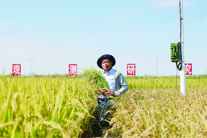 1310747951_16986528718011n 1310747951_16986528718011n