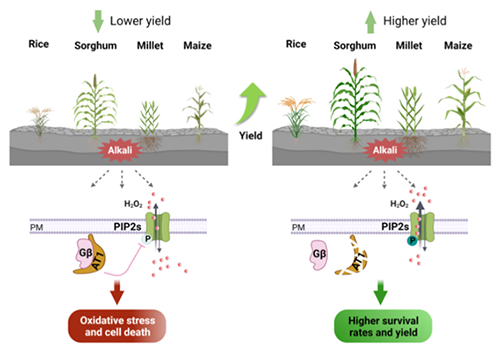 tpxw2023-04-03-04 tpxw2023-04-03-04