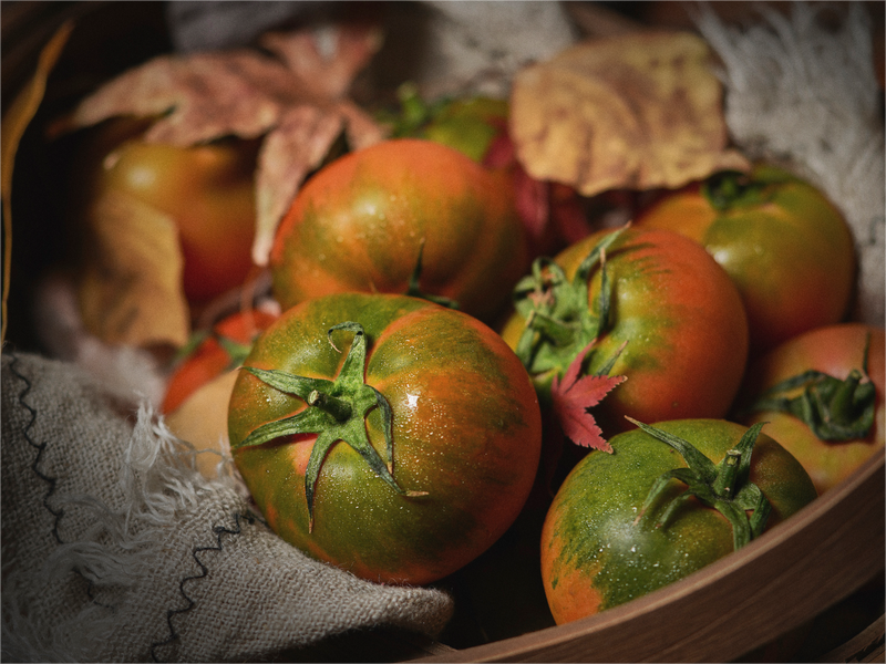 1710311941142938 1710311941142938