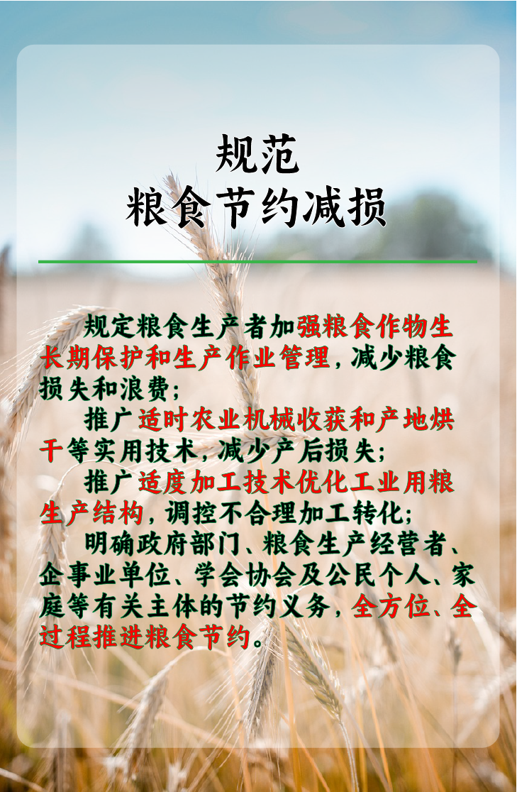 《中华人民共和国粮食安全保障法》-08 《中华人民共和国粮食安全保障法》-08